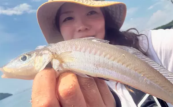「野釜島の投げ釣りで24cmのシロギスを手中【熊本】チニングでは本命不発もダツがヒット」の画像