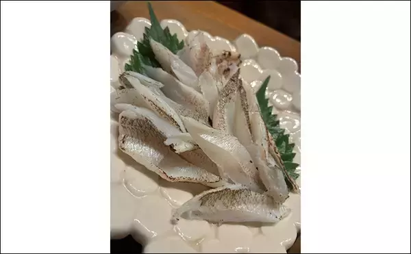 「野釜島の投げ釣りで24cmのシロギスを手中【熊本】チニングでは本命不発もダツがヒット」の画像