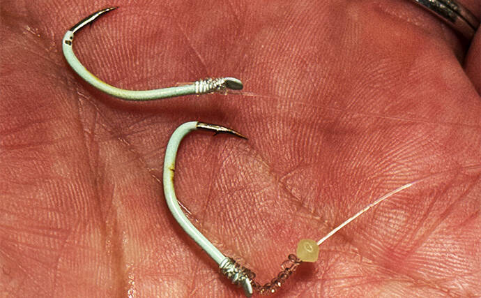 「コマセ釣りは向こうアワセでいいんじゃないの？」シマアジ釣りのアタリの出方と2つのアワセのタイミング