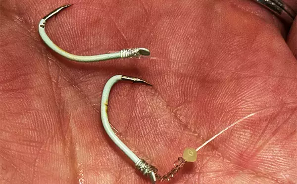 「「コマセ釣りは向こうアワセでいいんじゃないの？」シマアジ釣りのアタリの出方と2つのアワセのタイミング」の画像