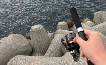 「実は多彩な釣り物に流用可能！」ライトショアジギング（LSJ）タックル流用術　