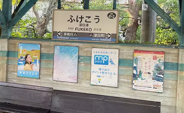 「「そろそろメバルが釣れるかも？」 泉南ライトゲームでまさかのアコウ【大阪】」の画像