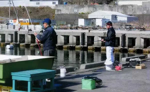 「錦漁港の投げサビキ釣りで17cm級主体にアジ29匹好捕【三重】引き潮に苦戦も本命連発」の画像