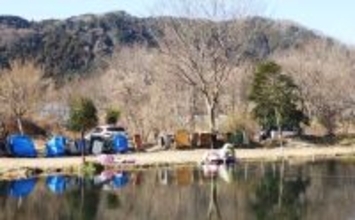 今週のヘラブナ推薦釣り場2026【神奈川・上大島ファミリー釣り場】