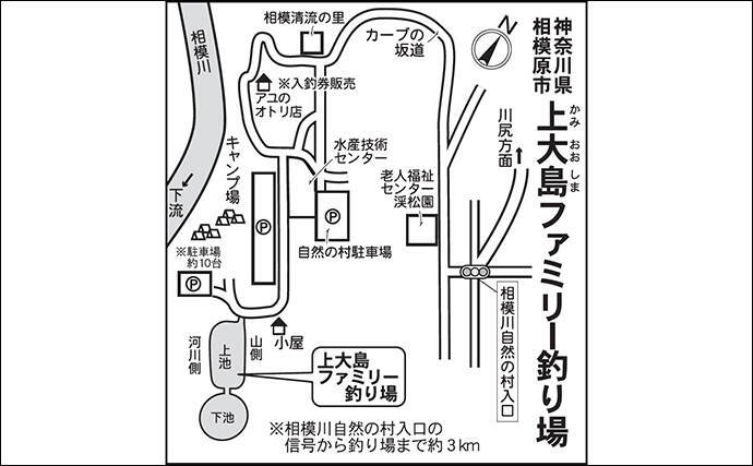 今週のヘラブナ推薦釣り場2026【神奈川・上大島ファミリー釣り場】