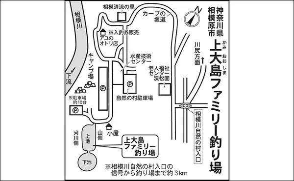 「今週のヘラブナ推薦釣り場2026【神奈川・上大島ファミリー釣り場】」の画像