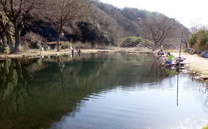 今週のヘラブナ推薦釣り場2026【神奈川・上大島ファミリー釣り場】