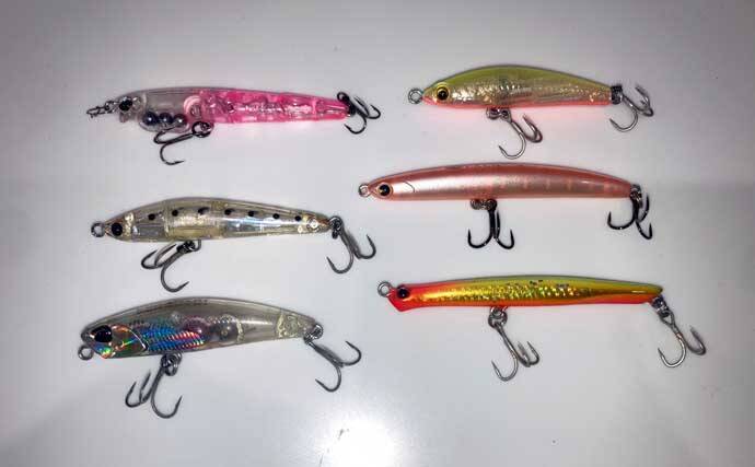 運河エリアでのプラッギングで「年無し」クロダイをキャッチ！【三重】