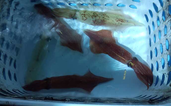 船上で本当にあった怖い話：悲鳴が聞こえるマリントイレ　原因は逆流？