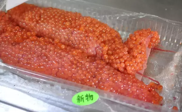 「市販されるサーモンは養殖は主流　なぜ「イクラ」は養殖されないのか？」の画像