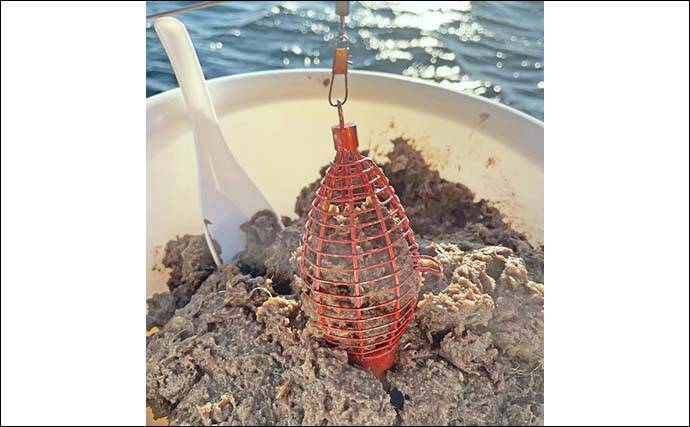 東京湾ショートLTアジ釣りを親娘で満喫　1投目から連掛けで入れ食い