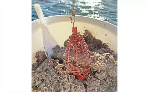 「東京湾ショートLTアジ釣りを親娘で満喫　1投目から連掛けで入れ食い」の画像