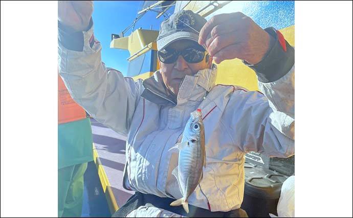 東京湾ショートLTアジ釣りを親娘で満喫　1投目から連掛けで入れ食い