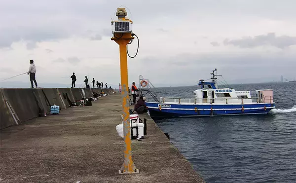 「岸和田沖一文字でアジ11匹と44cmカンダイを好捕【大阪】サビキと落とし込み釣りを堪能」の画像
