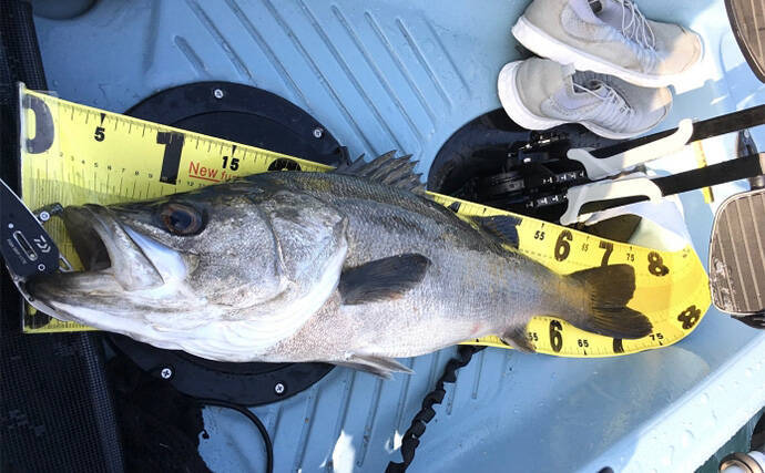 カヤックってどうやって買うの？ 【探し方・試乗方法・購入方法】を徹底紹介