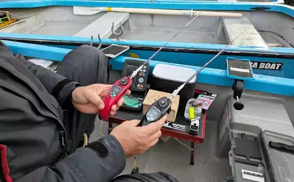 「初心者でも楽しめるワカサギ釣りの基本　魅力・道具・釣り方を徹底解説」の画像