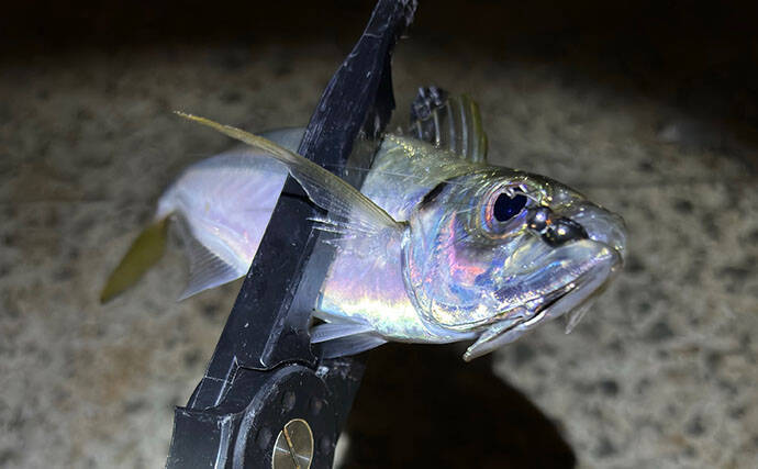 釣り人は釣れた日よりも釣れなかった日の方がよく覚えている？ ボウズにも物語あり
