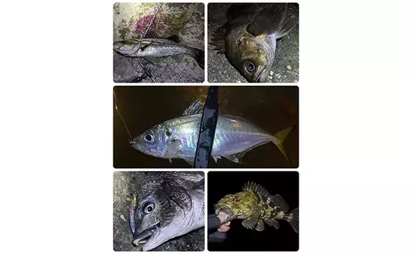 「釣り人は釣れた日よりも釣れなかった日の方がよく覚えている？ ボウズにも物語あり」の画像