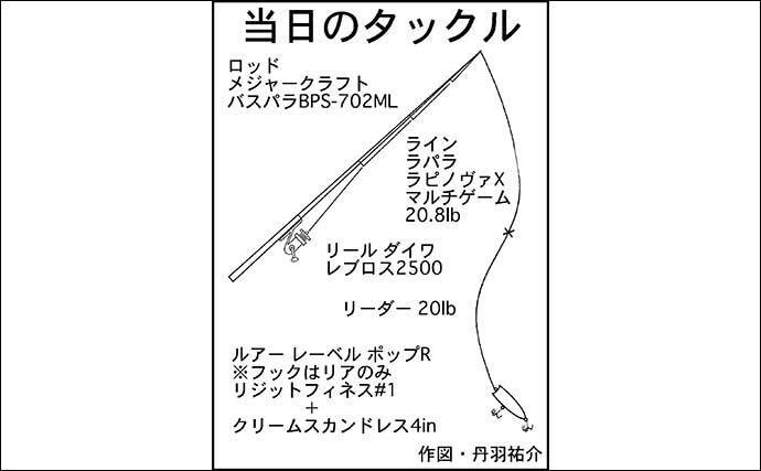 温排水エリアでティラピア40cm超えキャッチ　「ポッパー」にヒット