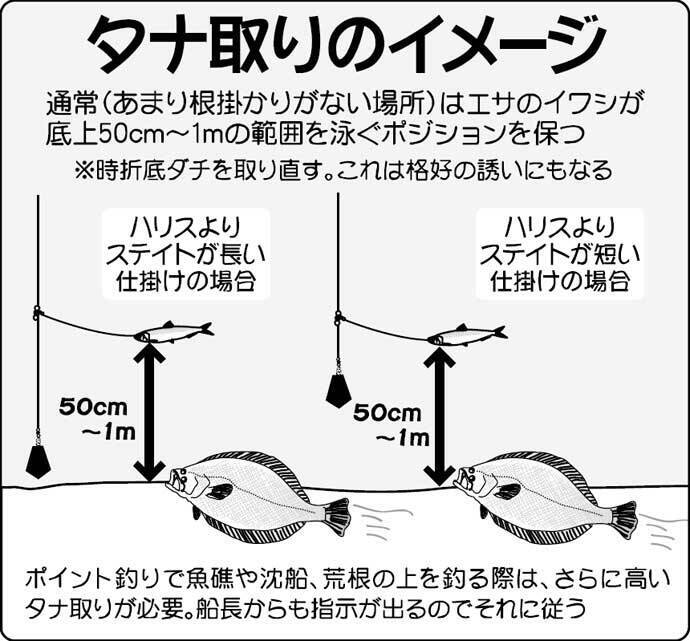 22年 夏ビラメ狙い泳がせ釣り入門 タックル 釣りの流れ 近況 22年7月12日 エキサイトニュース 2 2