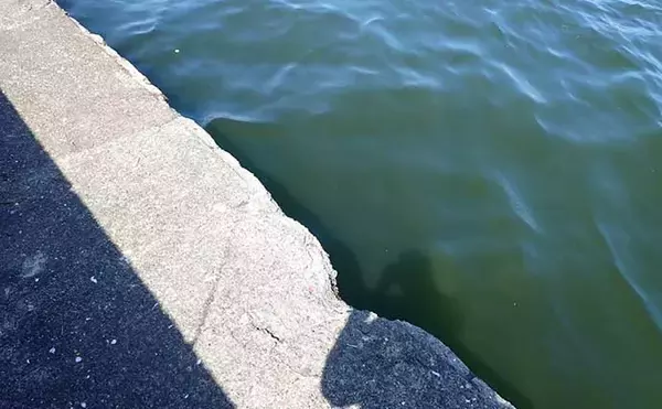 「クロダイが釣れる「濁り」の種類と見極め方　「良い」「悪い」がある？」の画像