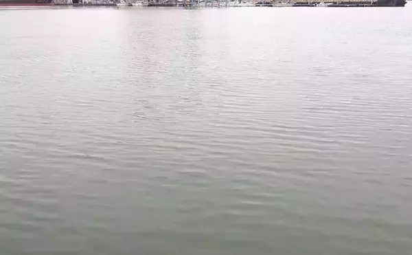 「クロダイが釣れる「濁り」の種類と見極め方　「良い」「悪い」がある？」の画像