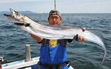 「【愛知・三重】沖のエサ釣り最新釣果　ドラゴン混じりでタチウオ絶好調」の画像1