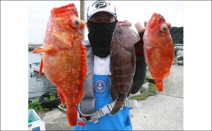 【愛知・三重】沖のエサ釣り最新釣果　ドラゴン混じりでタチウオ絶好調