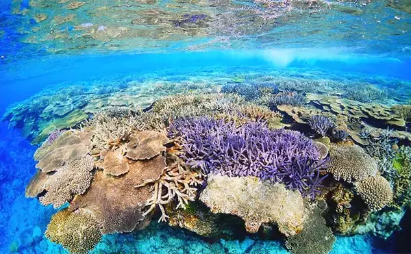 「離島遠征好きがGWに行きたい釣行は【沖縄県伊是名島のタックルレンタル可能な船釣り】」の画像