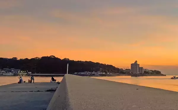 「知多半島を巡るサビキ釣行でアジ・イワシ・サッパと対面成功【愛知】」の画像