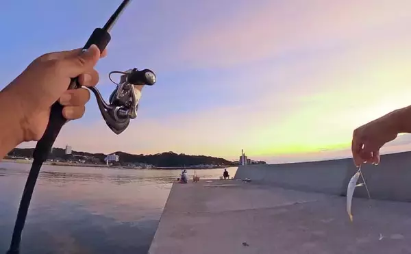 「知多半島を巡るサビキ釣行でアジ・イワシ・サッパと対面成功【愛知】」の画像