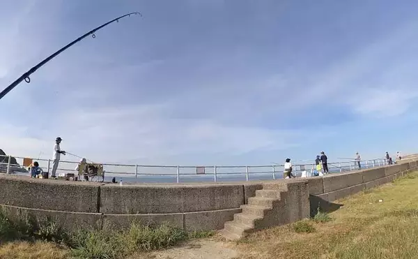 「知多半島を巡るサビキ釣行でアジ・イワシ・サッパと対面成功【愛知】」の画像