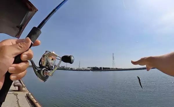 「知多半島を巡るサビキ釣行でアジ・イワシ・サッパと対面成功【愛知】」の画像