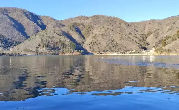 「「朝から入れ食いで606尾！」精進湖のボートワカサギ釣りが好調継続【山梨】」の画像