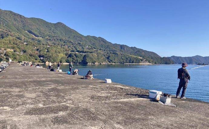 尾鷲港のメッキゲームで30cm超含みツ抜け達成！【三重】メタルジグで攻略