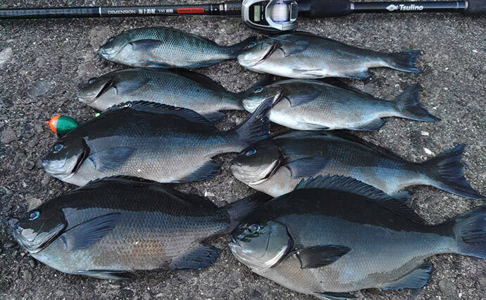 超一級フィールドに釣り移住して1年が経過　感じた4つのメリットとは？