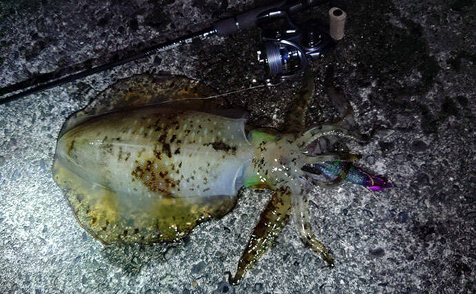 超一級フィールドに釣り移住して1年が経過　感じた4つのメリットとは？