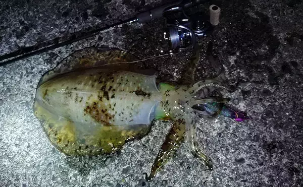 「超一級フィールドに釣り移住して1年が経過　感じた4つのメリットとは？」の画像