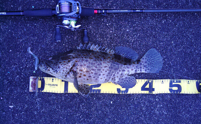 超一級フィールドに釣り移住して1年が経過　感じた4つのメリットとは？