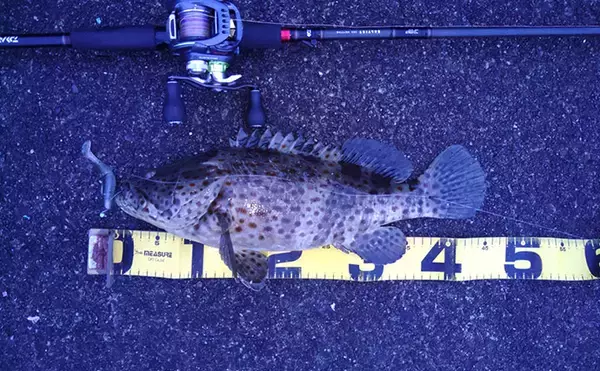 「超一級フィールドに釣り移住して1年が経過　感じた4つのメリットとは？」の画像