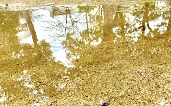 「「魚なのに水が無くても生きられる？」独特すぎる進化を遂げたサカナたち」の画像