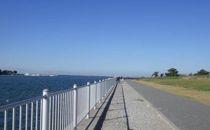 千葉県の落ちハゼ釣りで良型交じり本命51匹キャッチ！ 入れ食いタイムも満喫　