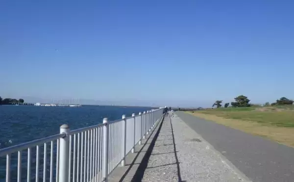 「千葉県の落ちハゼ釣りで良型交じり本命51匹キャッチ！ 入れ食いタイムも満喫　」の画像