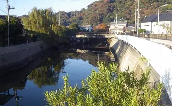 「千葉県の落ちハゼ釣りで良型交じり本命51匹キャッチ！ 入れ食いタイムも満喫　」の画像