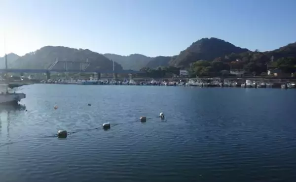 「千葉県の落ちハゼ釣りで良型交じり本命51匹キャッチ！ 入れ食いタイムも満喫　」の画像