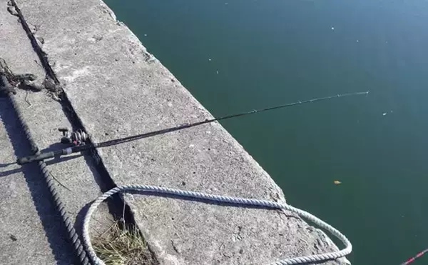 「千葉県の落ちハゼ釣りで良型交じり本命51匹キャッチ！ 入れ食いタイムも満喫　」の画像