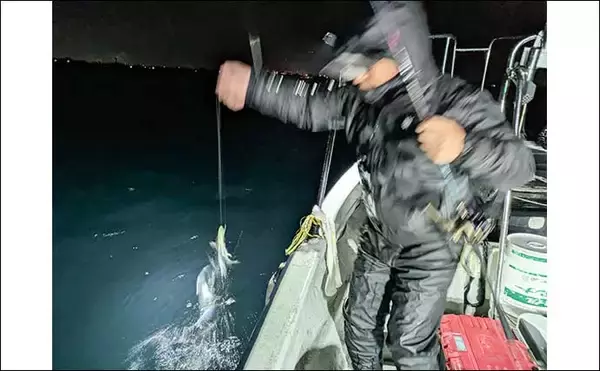 「「まるで修行？」富山湾のナイトテンヤタチウオ釣りで指4本級手中【富山県】」の画像
