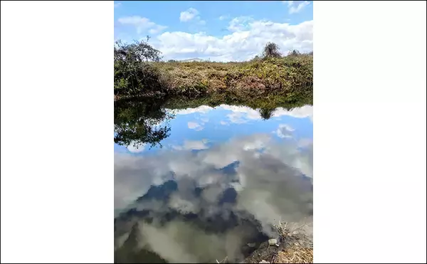 「「エリアトラウトシーズン本格化！」日本ラインマス釣り場で快適釣行を満喫」の画像