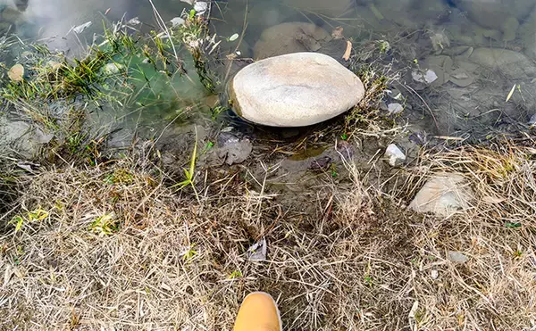 「「エリアトラウトシーズン本格化！」日本ラインマス釣り場で快適釣行を満喫」の画像