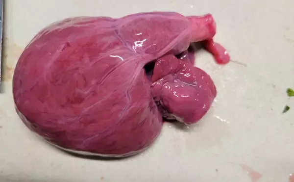 「レバ刺しはエイの肝で代替できる？　動物の「高リスク料理」は魚介類に置き換えればOK」の画像